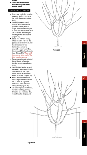 Cherry Training Systems(圖3)-速報App