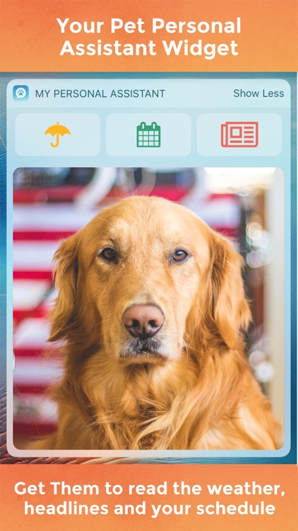 My Talking Pet screenshot-3