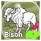 Tap Bison Color Book For Toddle