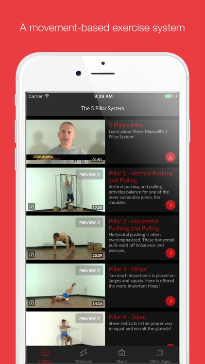 Steve Maxwell's 5 Pillars System