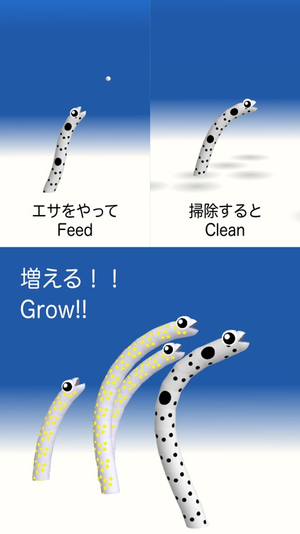 Garden Eel