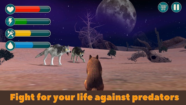 Dingo Dog Wild Life Simulator 3D(圖4)-速報App