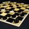 Checkers - Professional version