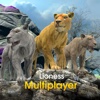 Lioness Multiplayer