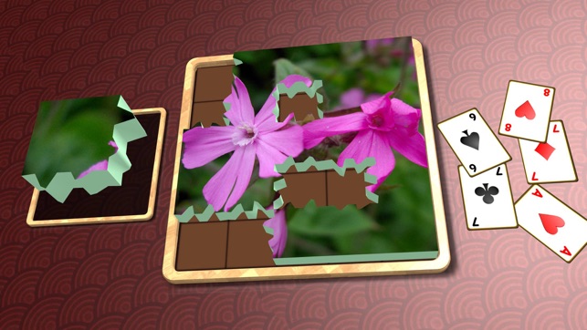 Jigsaw Solitaire Plants(圖5)-速報App