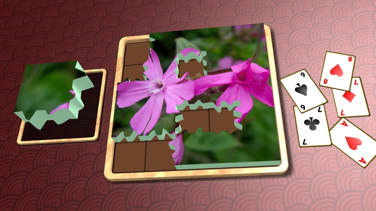 Jigsaw Solitaire Plants screenshot-4