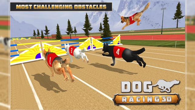 Dog Racing  3D(圖3)-速報App