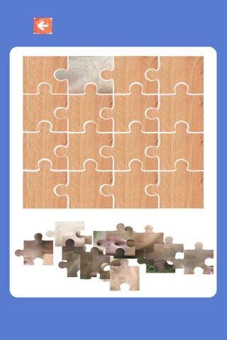 Puzzle Collections For Family and friends screenshot 2