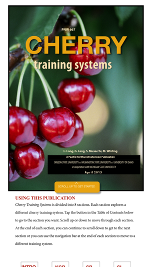 Cherry Training Systems