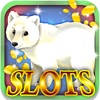 Polar Slots: Gain daily penguin wagering deals