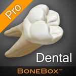 BoneBox™ - Dental Pro