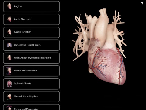Cardiological Uno screenshot 2
