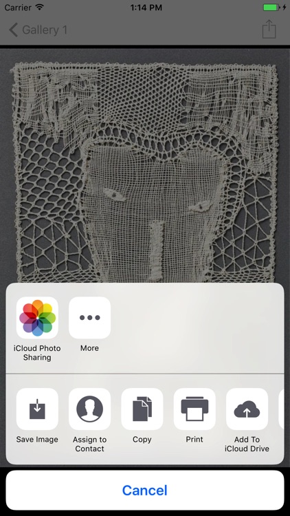 Crochet Lace screenshot-3