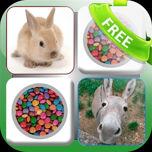 Doodle Pair Animals! Domestic&Pets - Photo Match Up Game Free Version (Picture Match) Icon