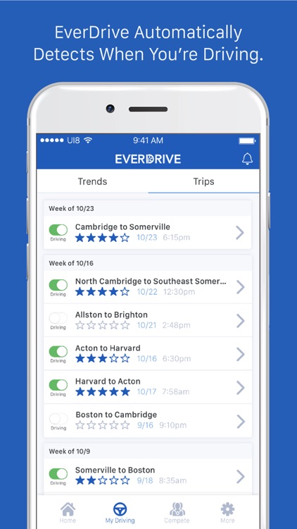 EverDrive™ - Safe Driving