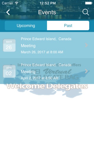 Virtual Delegate Bag screenshot 3