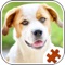 Sweet Puppy Jigsaw Puzzle - Pet Games For Kids