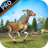 Deer Hunt Wild Safary Pro