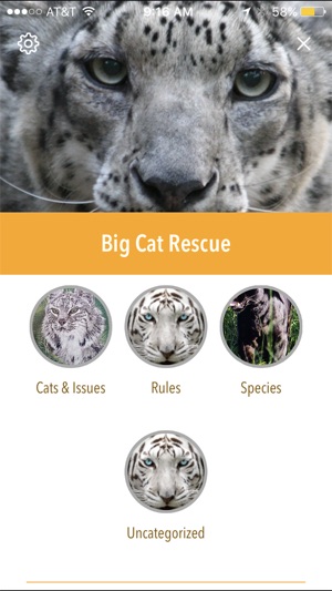 Big Cat Rescue(圖2)-速報App