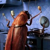 Cockroaches in the kitchen