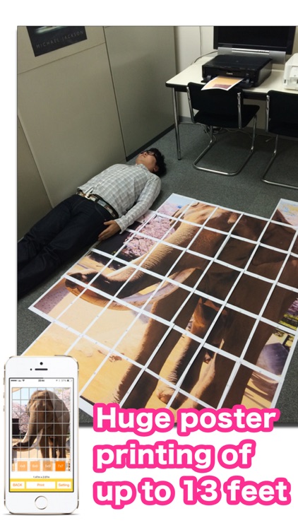 DecaPrint - printing the huge poster