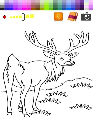 Draw Book Antelope For Toddle screenshot 2