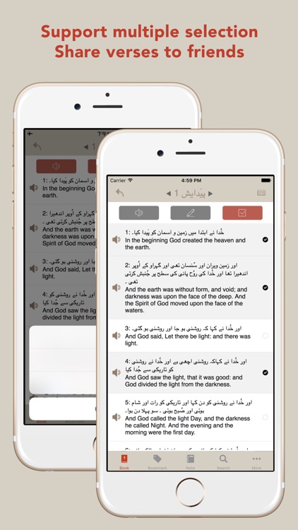 Urdu KJV English Bible