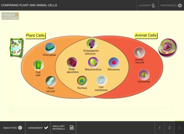 Comparing Plant & Animal Cells(圖4)-速報App