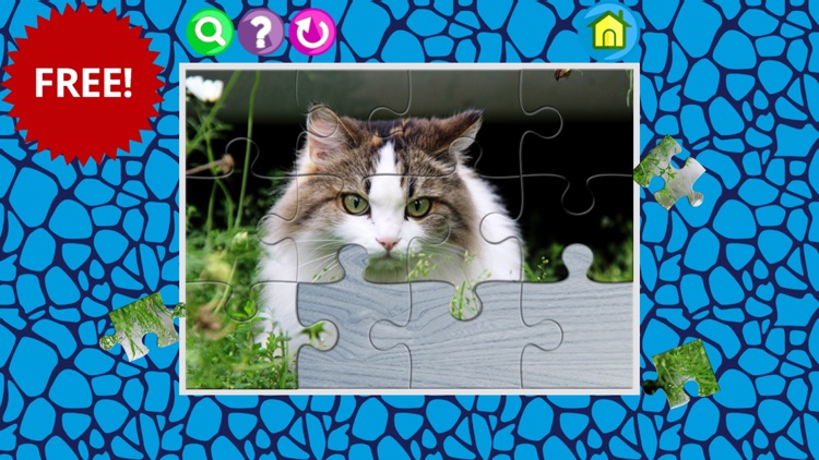 Cat jigsaw puzzle games for kids toddles