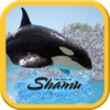 SeaWorld: The Story of Shamu