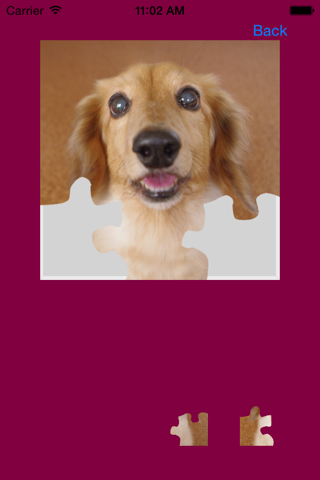 Dog Jigsaw Puzzle screenshot 3
