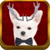 Horndog - Add horns to photos