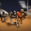 Greyhound Racing Game