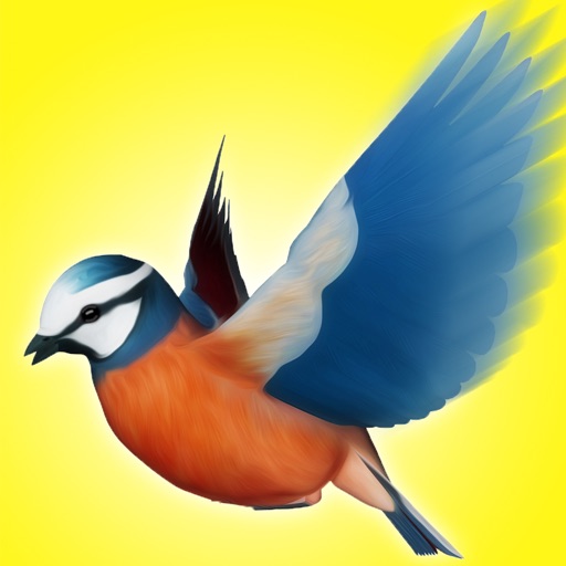 Climb Bird Climb - A Bird Jumper Game iOS App