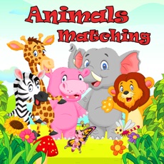Activities of Animal Matching Puzzle - Sight Games for Kids