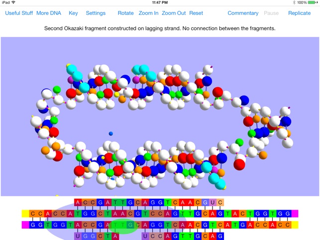 OnScreen DNA Replication(圖4)-速報App