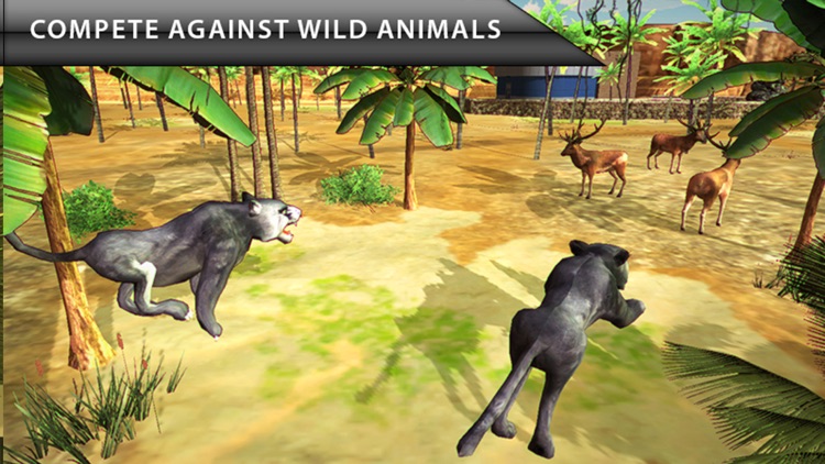 Wild Cat Simulator - Animal Survival Game