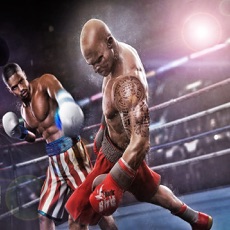 Activities of Boxing Champion 2017 Game