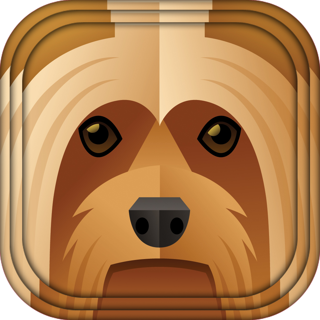 Animals in Casuals App Icon