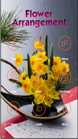 How to Flower Arranging - Tips & Tricks