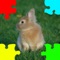 Baby Rabbits Jigsaw Puzzles is a jigsaw puzzle game about baby rabbits