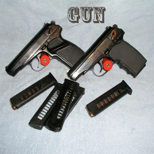 Guns Wallpapers icon