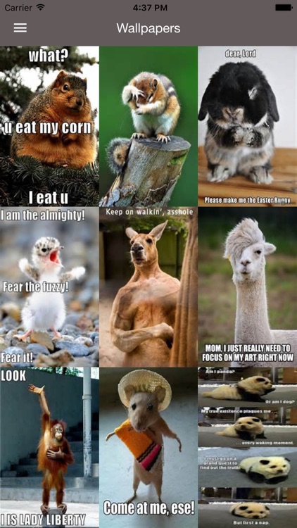 Funny Pics - Daily Quotes, LOL Picture, Wallpapers