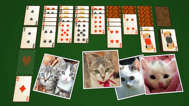 Solitaire Kittens(圖3)-速報App