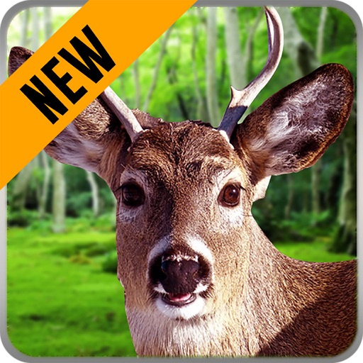 Animals Hunting Play : Hunting Simulation Game Icon