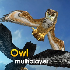 Activities of Owl Multiplayer