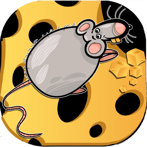 Fly Control Mice iOS App