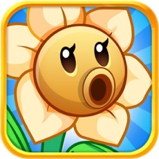 Activities of Flower War 2