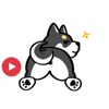 Obedient Black Shibainu Dog - Animated Sticker