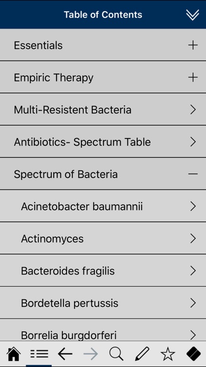 Antibiotics pocket